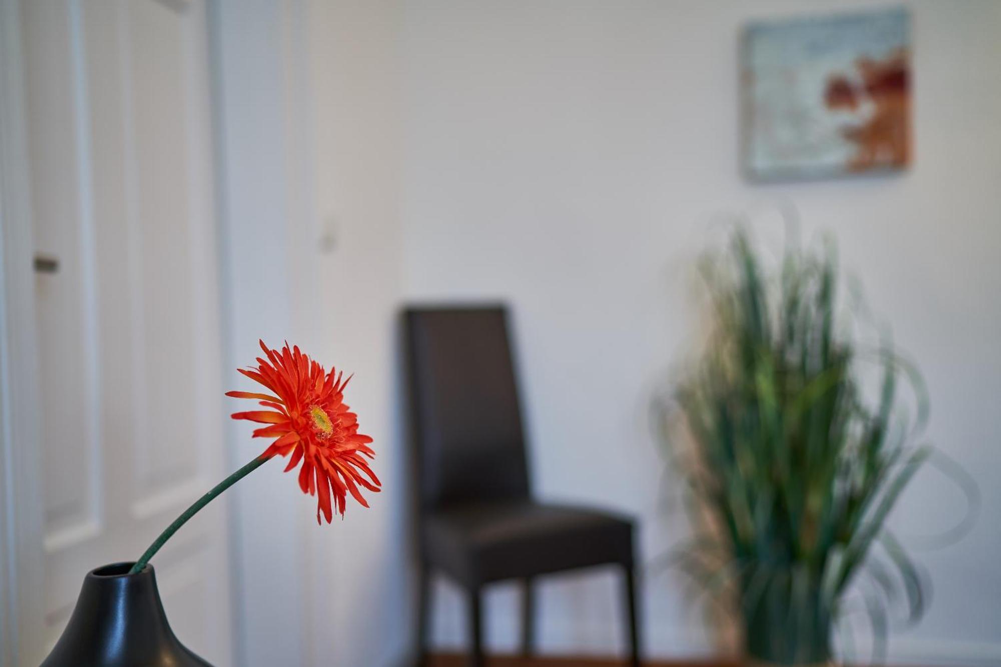Casa Pinos Apartment ฟรีดริชส์ฮาเฟน ภายนอก รูปภาพ